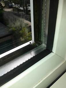 Upvc Windows