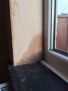 Window Case