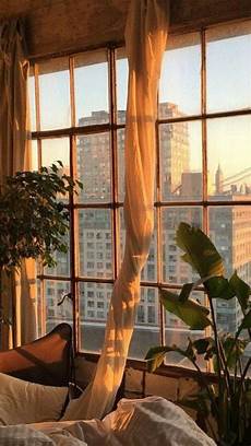 Window Decor