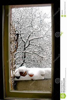 Window Filters