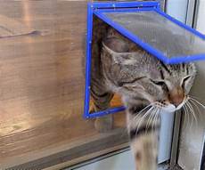 Window Screws