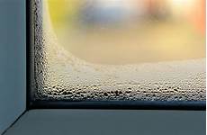 Window Seal