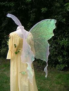 Window Wings